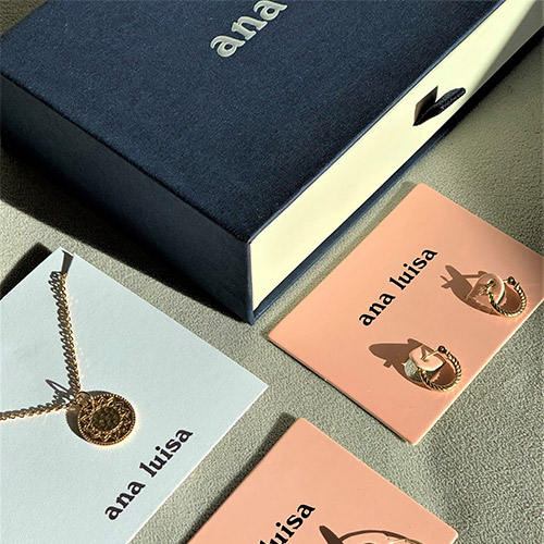 ana luisa live shopping case study